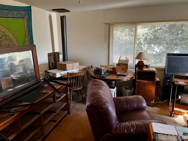 living area with carpet and plenty of natural light