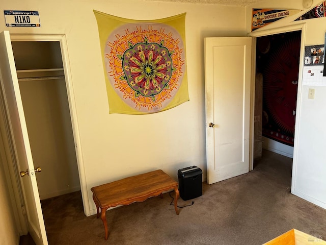 bedroom featuring dark colored carpet and a closet