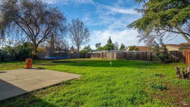 view of yard featuring a trampoline and a patio