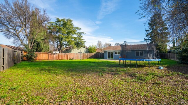 view of yard with a patio and a trampoline