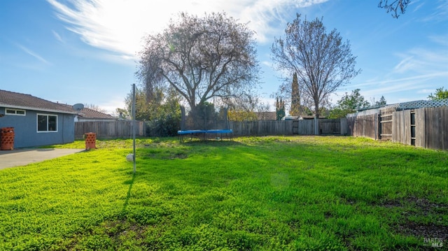 view of yard featuring a trampoline