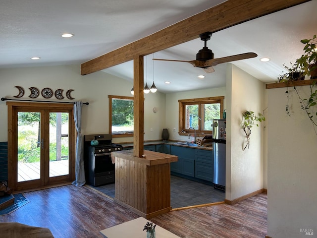 34620 Eureka Hill Rd, Point Arena, CA 95468 - kitchen featuring appliances with stainless steel finishes, plenty of natural light, dark wood-style floors, and recessed lighting