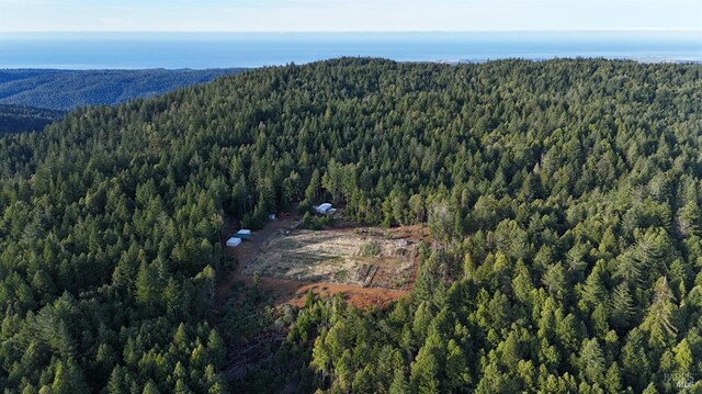 34620 Eureka Hill Rd, Point Arena, CA 95468 - aerial overview of property's location featuring a heavily wooded area