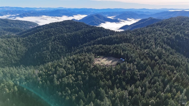 34620 Eureka Hill Rd, Point Arena, CA 95468 - view of mountain background featuring a forest
