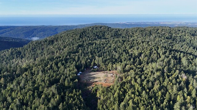 34620 Eureka Hill Rd, Point Arena, CA 95468 - mountain view with a forest