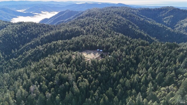 34620 Eureka Hill Rd, Point Arena, CA 95468 - view of mountain backdrop with a forest
