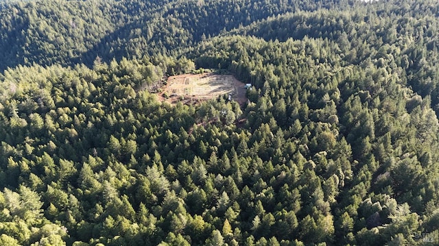 34620 Eureka Hill Rd, Point Arena, CA 95468 - bird's eye view of a forest