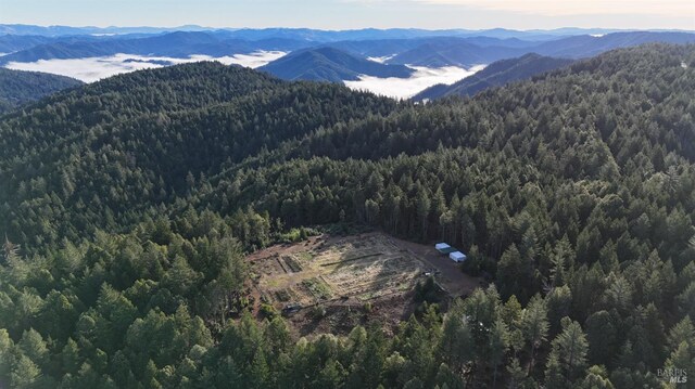 34620 Eureka Hill Rd, Point Arena, CA 95468 - view of mountain backdrop featuring a heavily wooded area