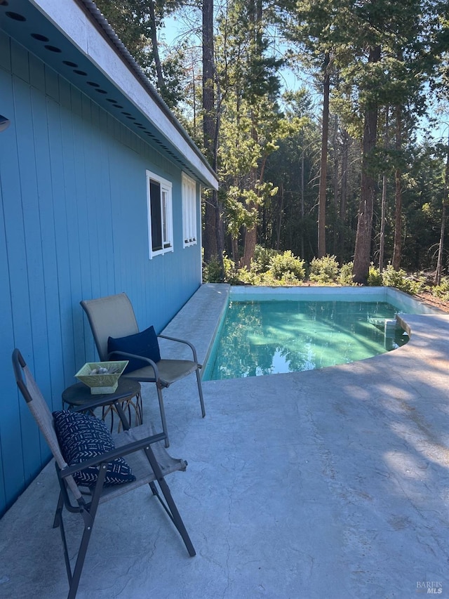 view of swimming pool featuring a patio area