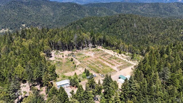 34620 Eureka Hill Rd, Point Arena, CA 95468 - aerial view of a heavily wooded area and a mountain backdrop