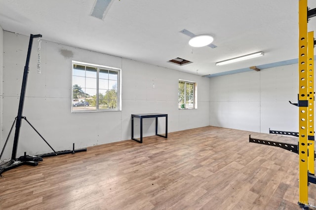 empty room with hardwood / wood-style flooring