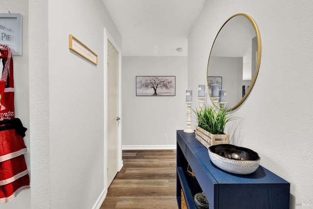 hallway featuring dark hardwood / wood-style floors