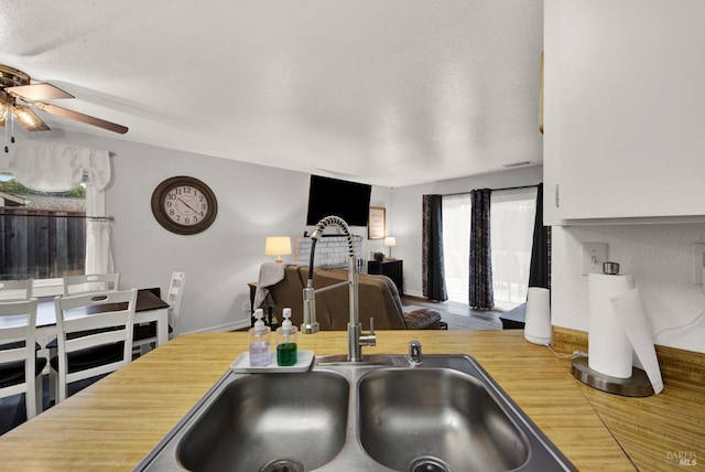 kitchen with plenty of natural light, sink, and ceiling fan