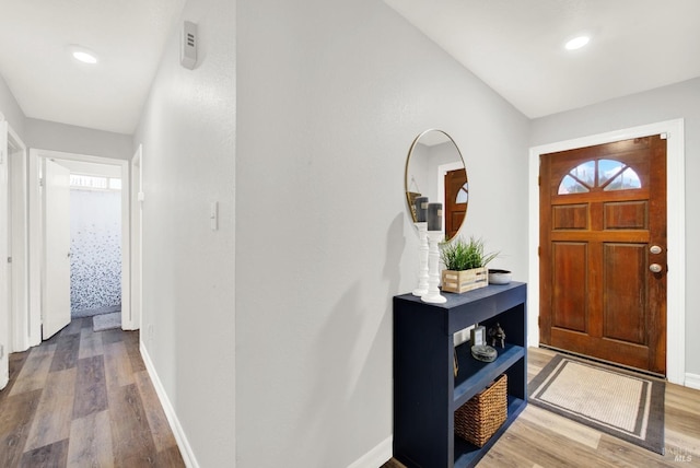 foyer featuring wood-type flooring