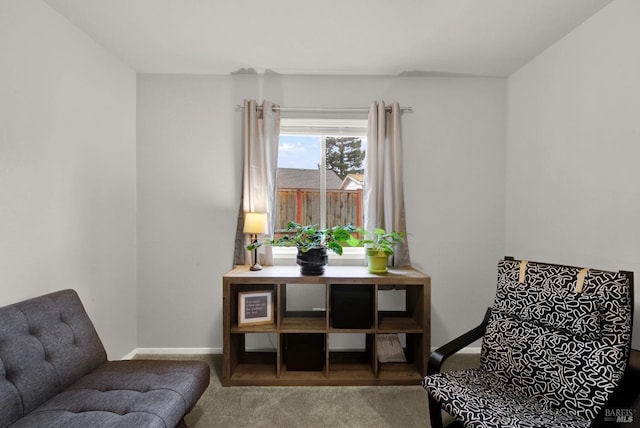 living area with carpet flooring