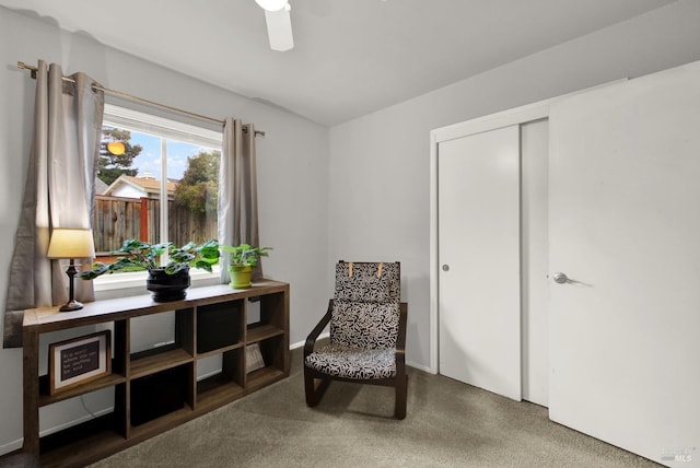 living area featuring ceiling fan and carpet