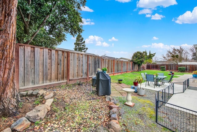 view of yard featuring a patio