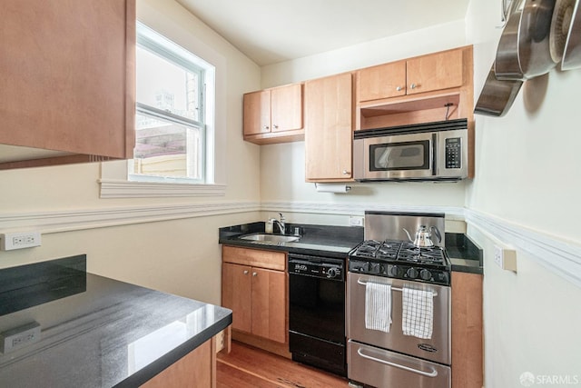 kitchen featuring stainless steel appliances, light hardwood / wood-style floors, and sink