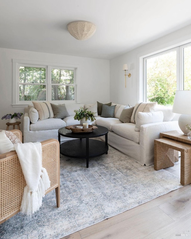 living room featuring light wood-type flooring and a wealth of natural light