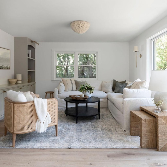 living room featuring light wood-type flooring and plenty of natural light