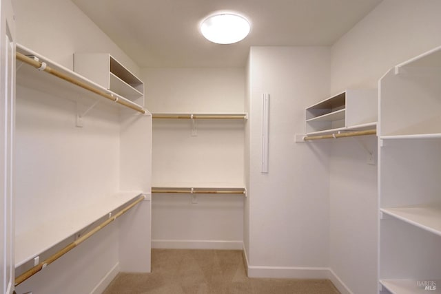 spacious closet featuring light colored carpet