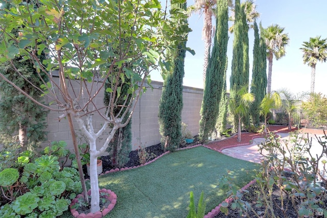 view of yard with a patio