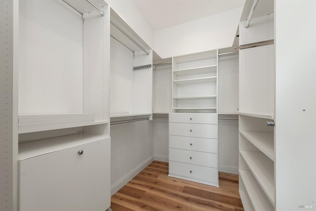 walk in closet with light wood-type flooring