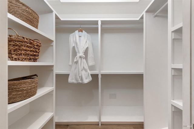 view of walk in closet