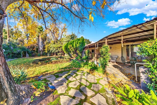 view of yard with a patio area