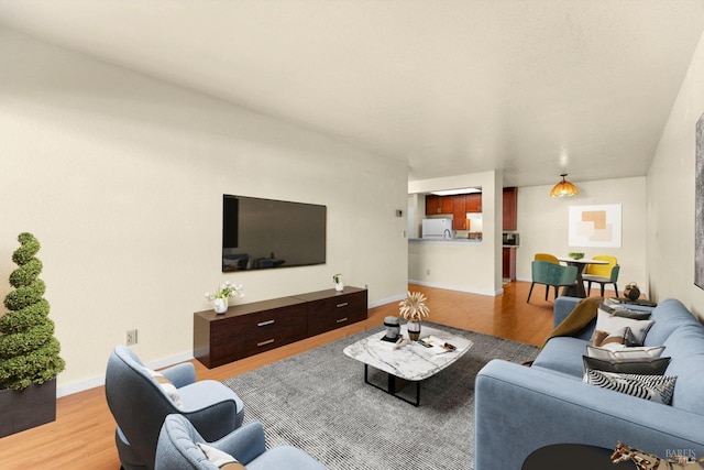 living room featuring light hardwood / wood-style flooring