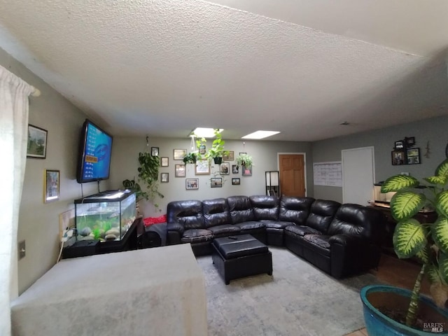 living room with a textured ceiling