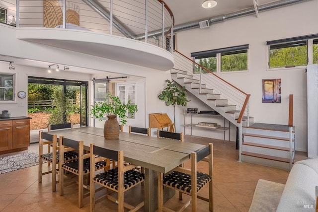 dining room with a healthy amount of sunlight and a towering ceiling