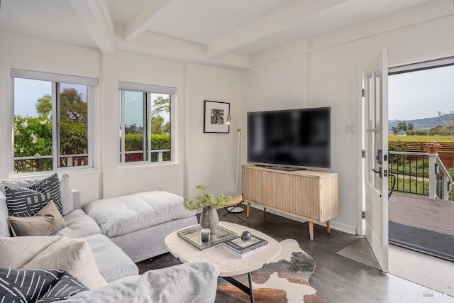 living room with beam ceiling