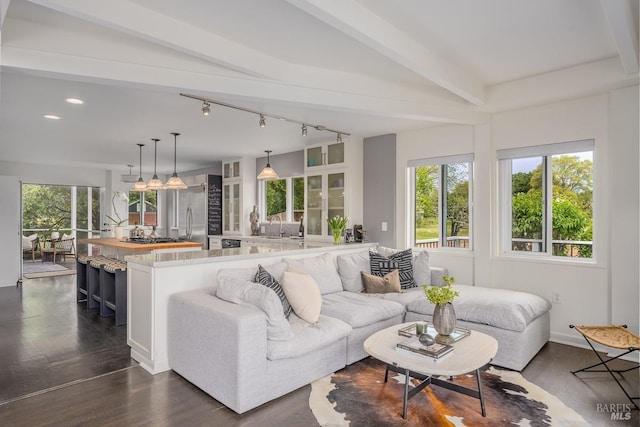 living room with beam ceiling, dark hardwood / wood-style flooring, a wealth of natural light, and sink
