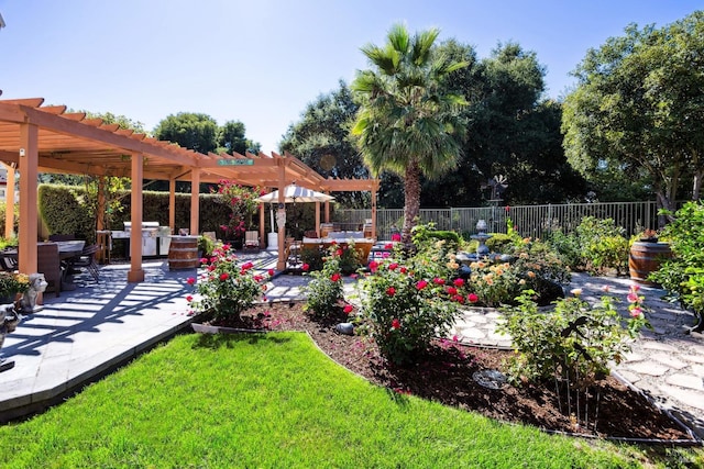 view of yard with exterior kitchen, a pergola, and a patio