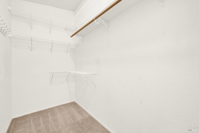 walk in closet with light colored carpet