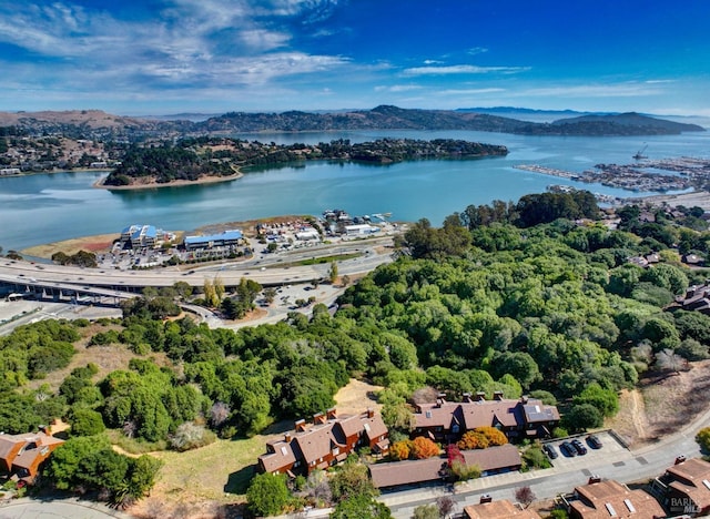 birds eye view of property featuring a water and mountain view