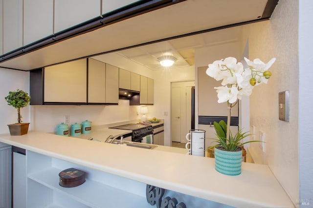 kitchen with sink, electric stove, and kitchen peninsula