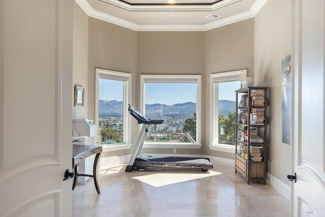 workout room featuring a mountain view, plenty of natural light, and ornamental molding