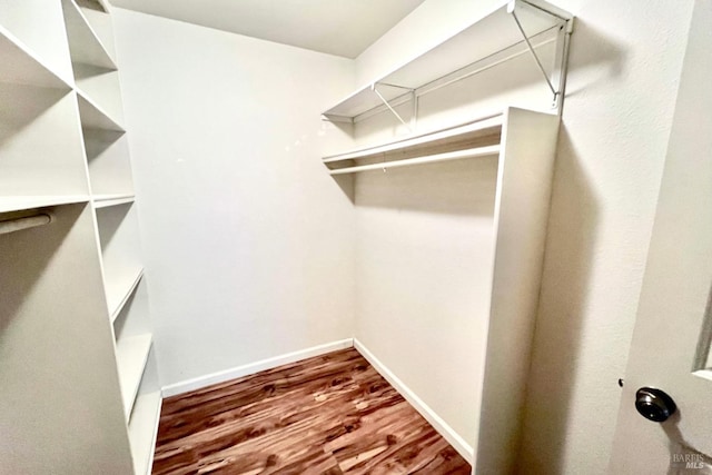 walk in closet featuring dark hardwood / wood-style flooring