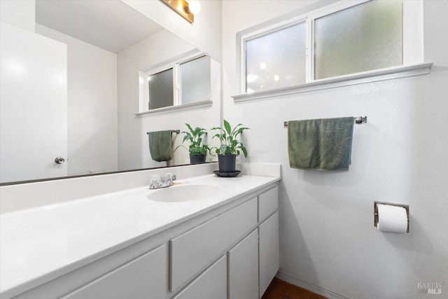 bathroom with vanity and a wealth of natural light