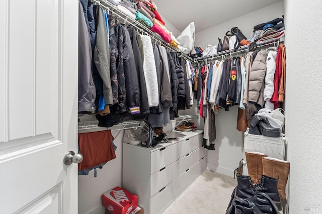 spacious closet with light carpet