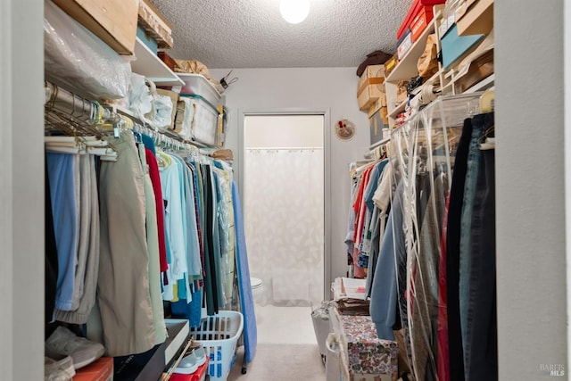 view of spacious closet