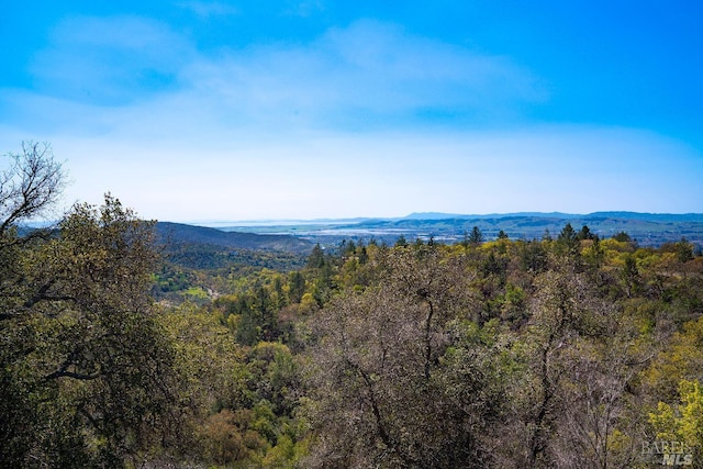 property view of mountains