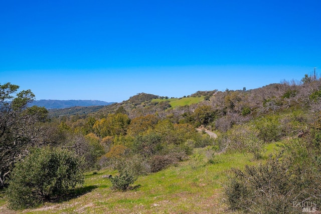 property view of mountains