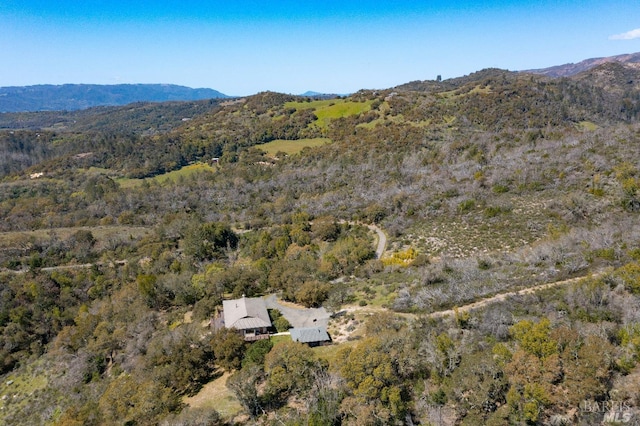 drone / aerial view with a mountain view