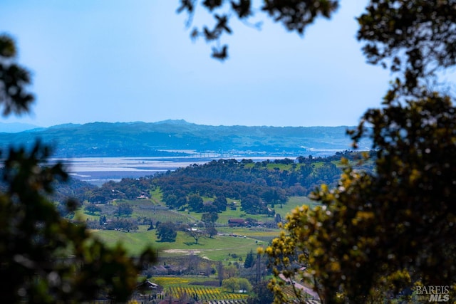 property view of mountains featuring a water view