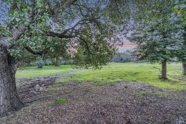 view of yard at dusk