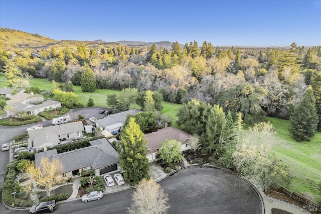 birds eye view of property with a mountain view