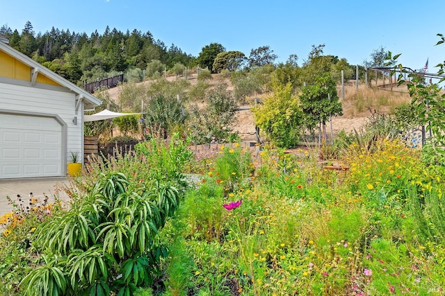 view of yard featuring a garage